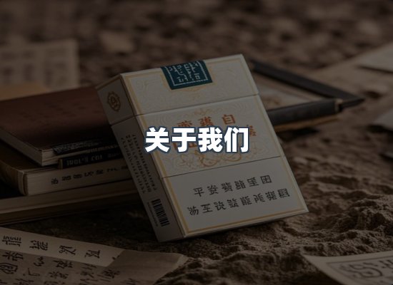 关于我们